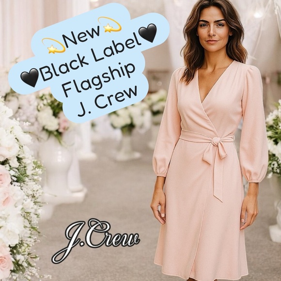 New J. Crew🖤Black Label🖤 Wrap Dress, Pink, Fully-Lined, Classic Wedding Guest - Picture 1 of 17